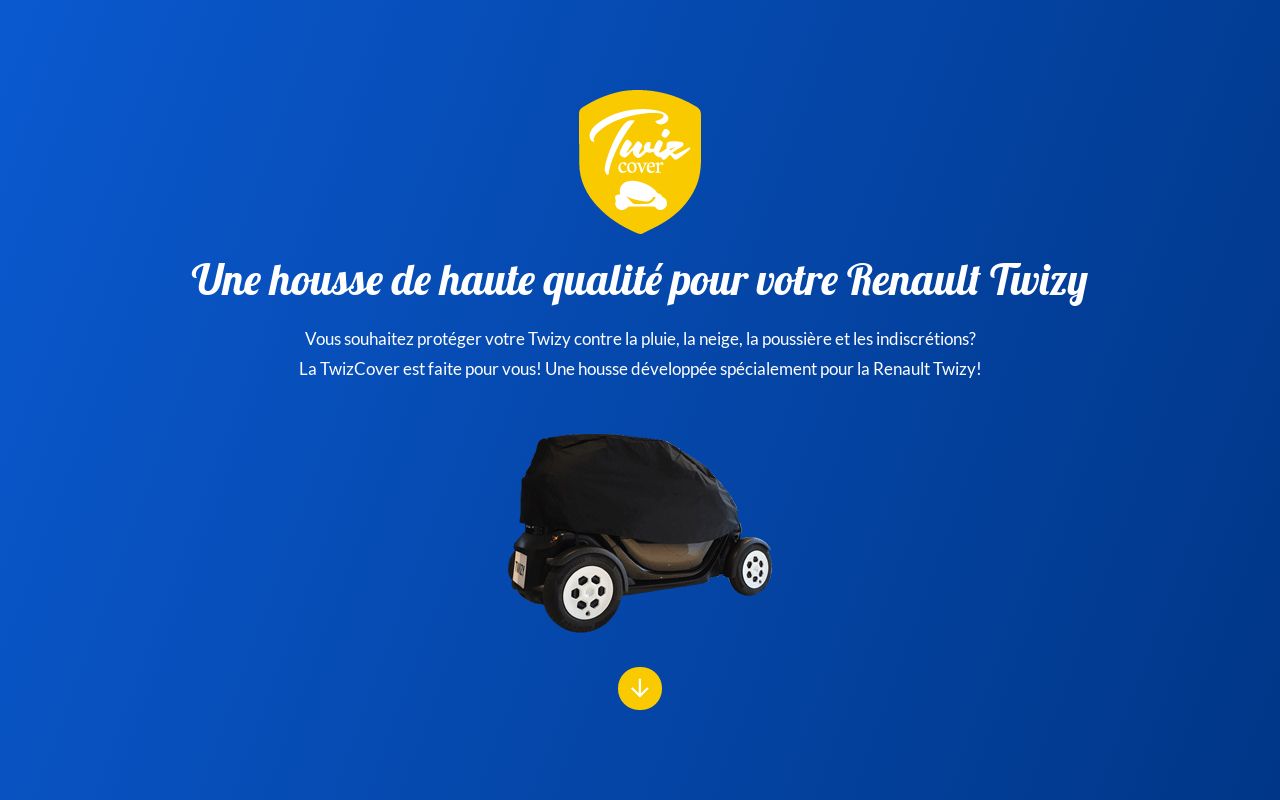 BÂCHE HOUSSE DE protection pour Renault Twizy EUR 78,00 - PicClick FR